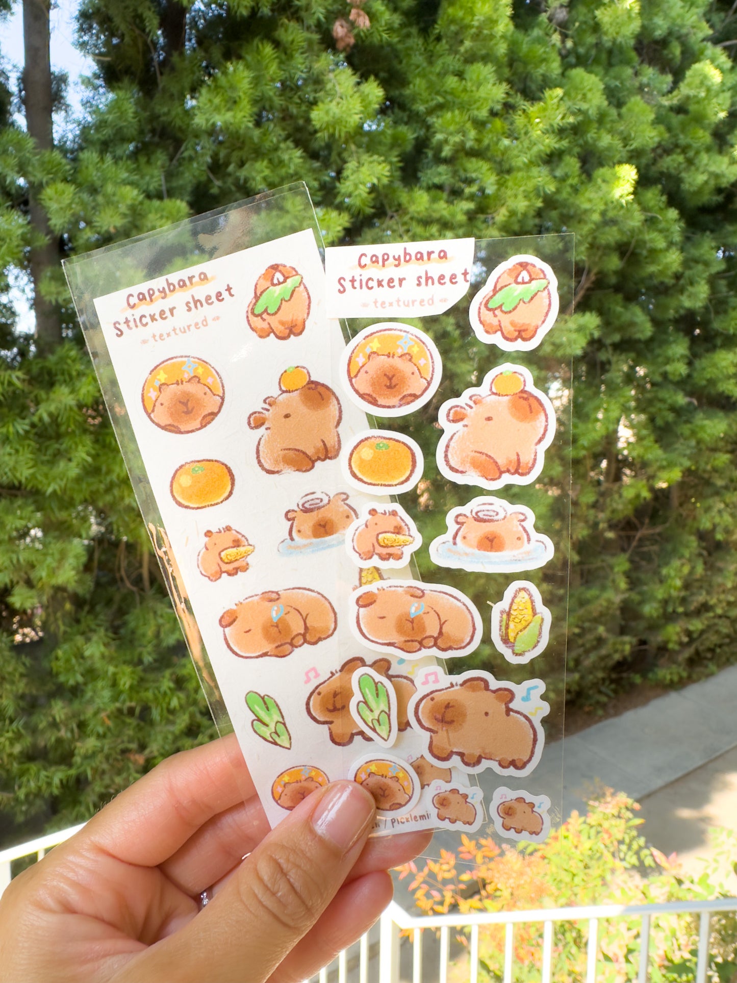 Capybara Mini Sticker Sheet- Textured