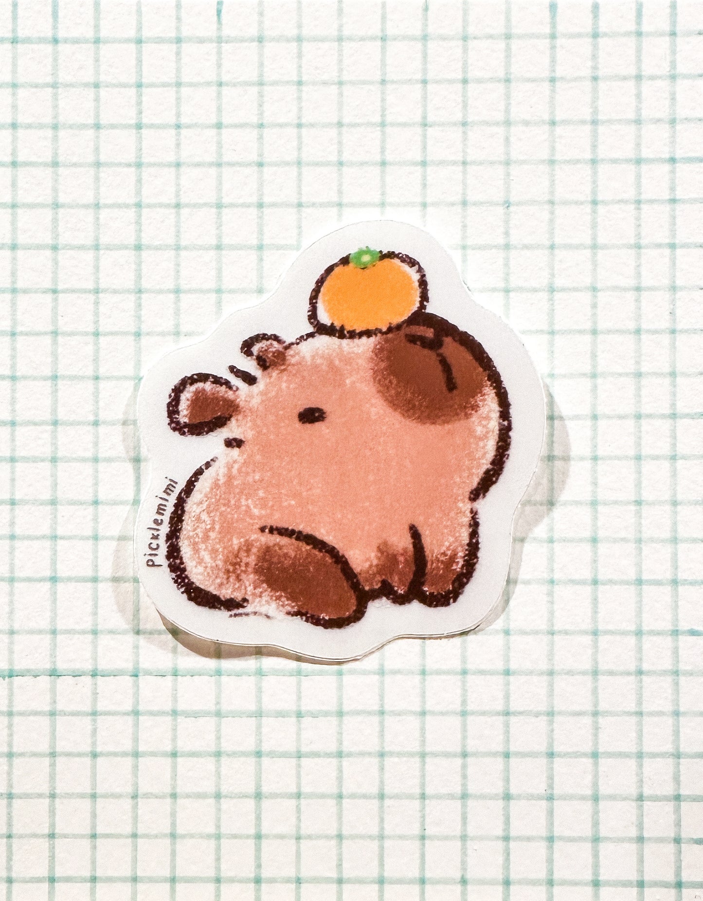 Capybara with Orange - Clear Finish